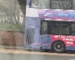 Sex in a UK bus